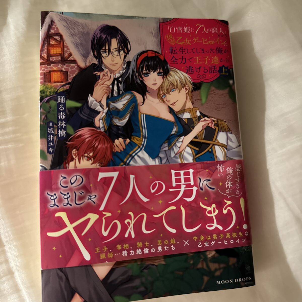 「白雪姫と7人の恋人」という18禁乙女ゲーヒロインに転生してしまった俺が全力で王子達から逃げる話_画像1