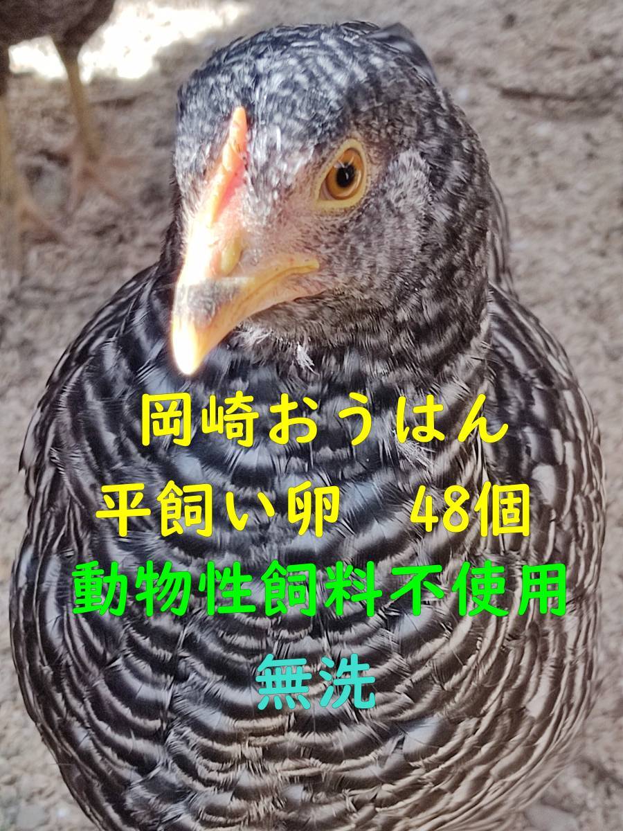 岡崎おうはん　平飼い卵　48個　無洗卵　動物性飼料不使用_画像1