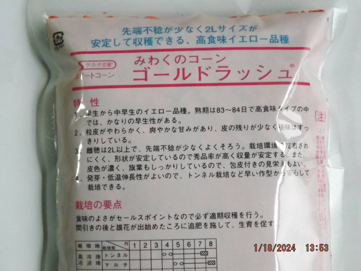 種子　新種　営利用　サカタ交配　ゴールドラッシュスイートコーン　約120粒入　1袋　送料無料_画像5