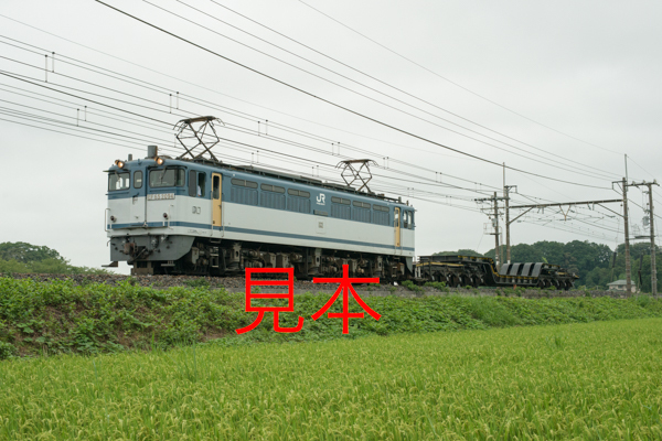 鉄道写真データ（JPEG）、00896649、EF65-2094＋シキ180、JR東北本線、蓮田〜東大宮、2017.08.10、（7203×4807）_画像1