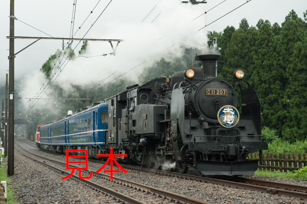 鉄道写真データ（JPEG）、00906796、C11-207＋ヨ8634（SL大樹）（雨天）東武鉄道鬼怒川線、鬼怒川温泉〜東武ワールドスクウェア2017.08.15_画像1