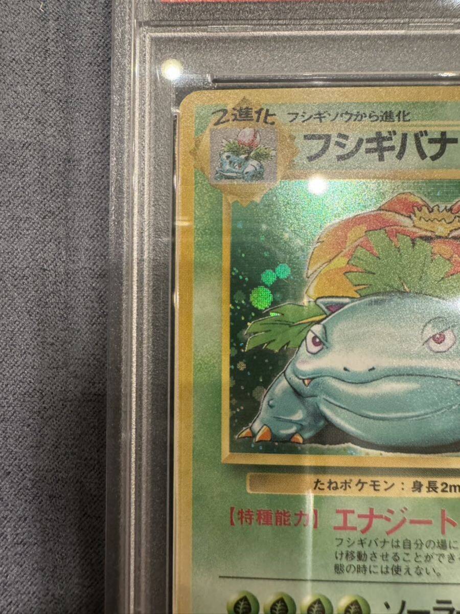 ポケモンカード 旧裏 初版 フシギバナ PSA8 マークなし  PSA9 PSA10の画像2