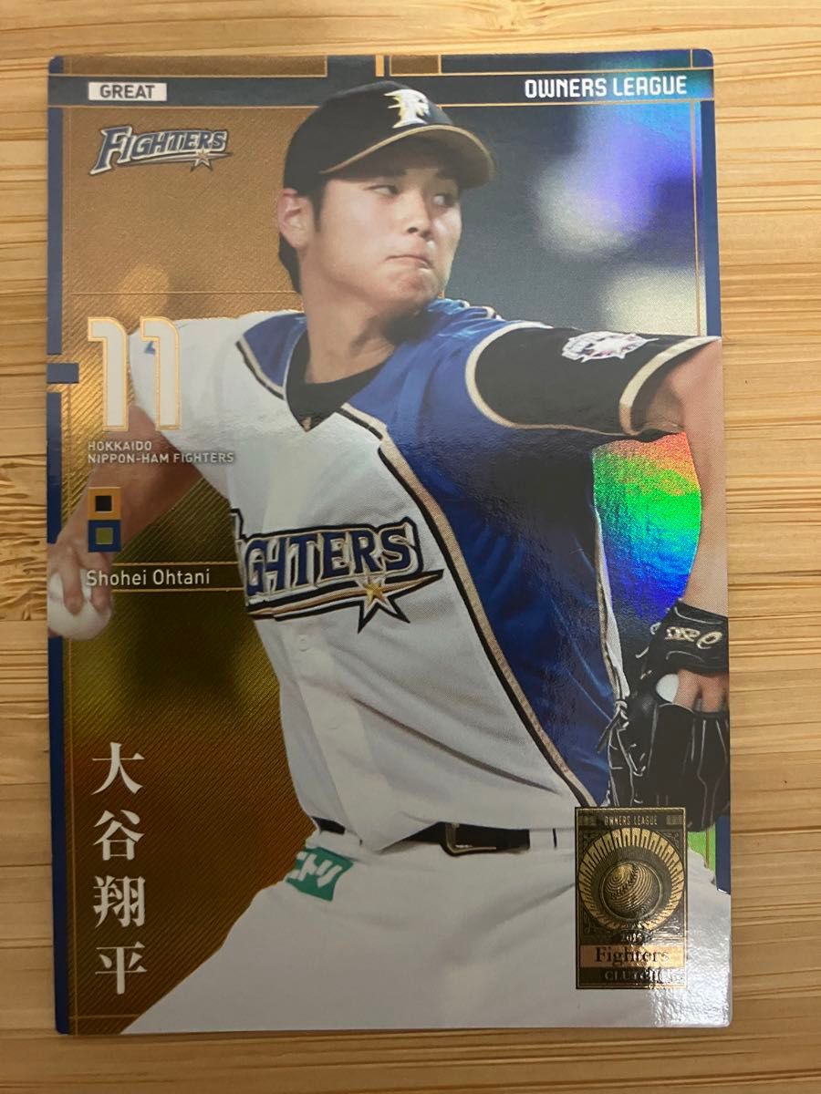 かなけい オーナーズリーグカード 大谷翔平 2枚セット バイヤー厳選用品 最終値下げ 大谷翔平 カード オーナーズリーグ