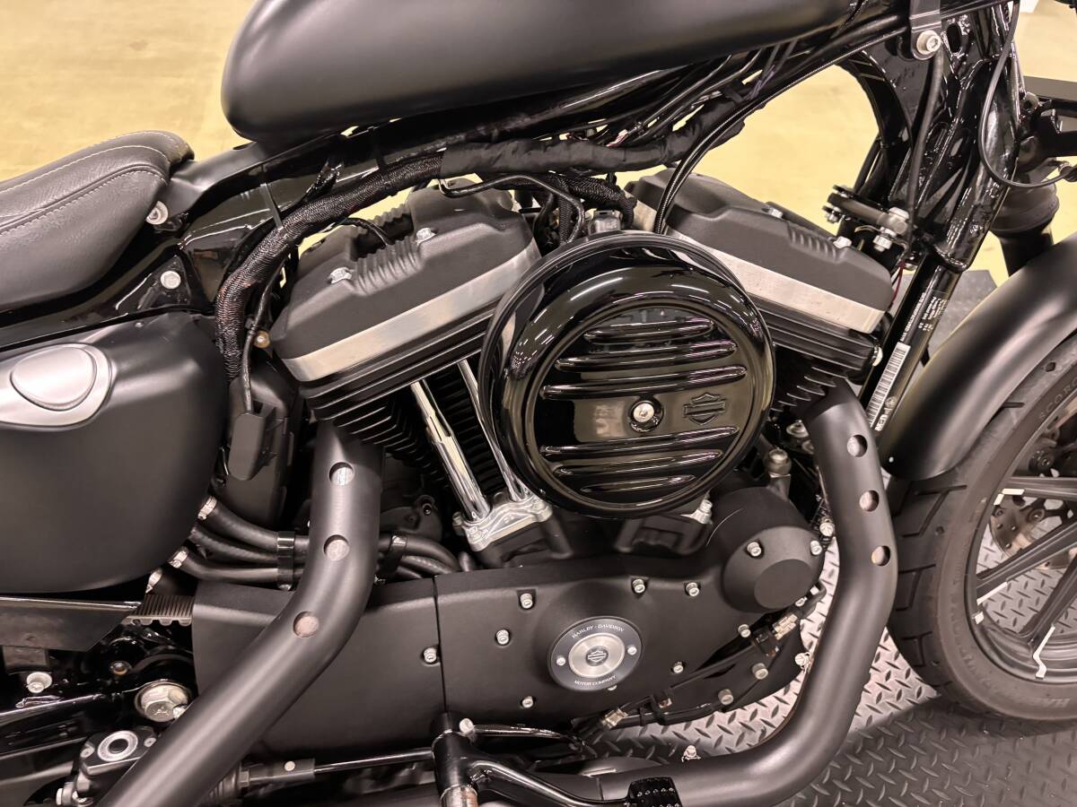 2019 год модели XL883N железный 6,371km бак UP боковой пружина перенесен ETC боковой номер подбородок спойлер др. custom всего 24 десять тысяч соответствует K'S мотоцикл 