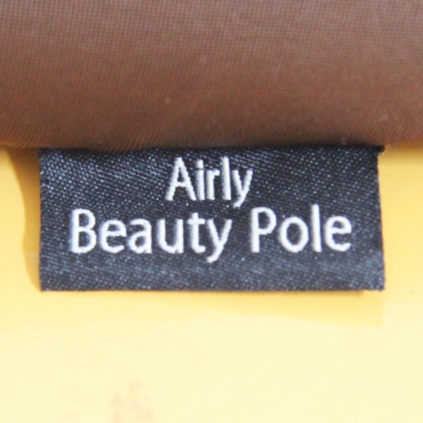 Airly Beauty Pole エアリービューティーポール AIM-FN062 動作確認済み ACアダプター欠品 中古品(j)の画像5