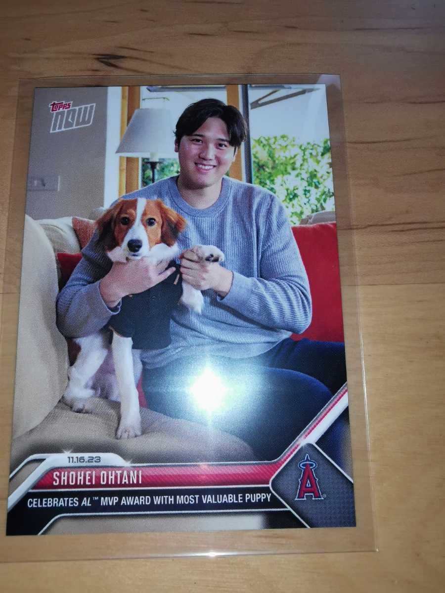 スタンド付き☆　スリーブ＆マグネットケース封入品　大谷翔平　Topps now 2023 MVP　カード　デコピン　犬_画像3