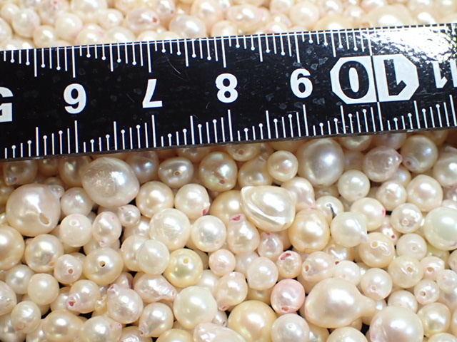 4282[T] accessory material! pearl / pearl / loose * both hole /ba lock / round / baby pearl / white * pink * gold group / weight 526g!