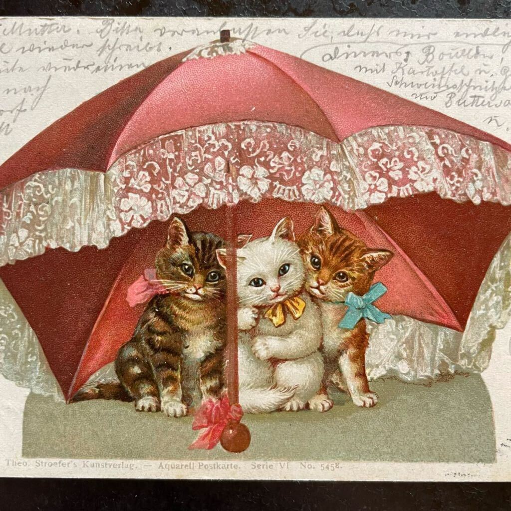 ドイツ 1899年 アンティーク ポストカード ★ 猫 ネコ 子猫 相合い傘 傘 レース 可愛い 絵葉書 古いハガキ 海外の画像2