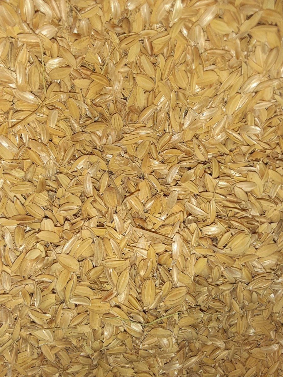 mo...6 kilo .. fresh profit ... gardening gardening bait raising seedling field soil improvement chicken . rug house cultivation free shipping 6kg