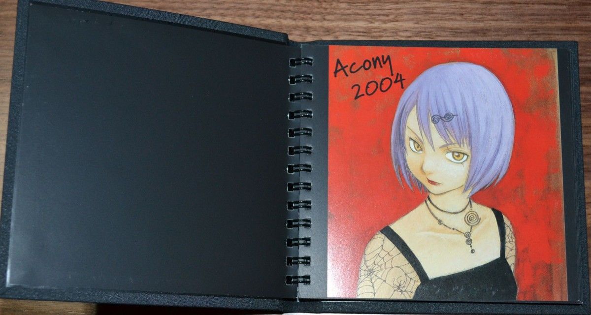 冬目景 ACONY 2004年カレンダー