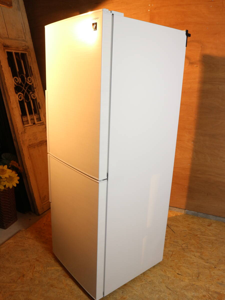美品 2023年製 SHARP/シャープ ノンフロン冷凍冷蔵庫 総容量280L 大容量冷凍 125L 2ドア SJ-PD28J-W 宮城県仙台市から_画像10