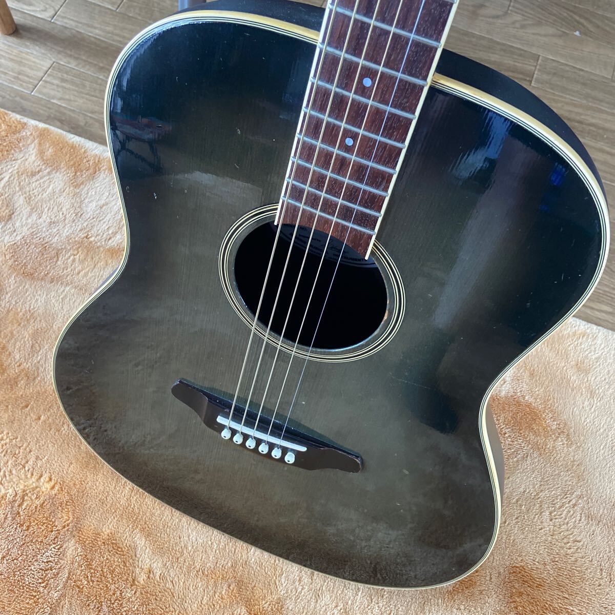 Morris TX tornado acoustic guitar electric acoustic guitar Morris operation goods 