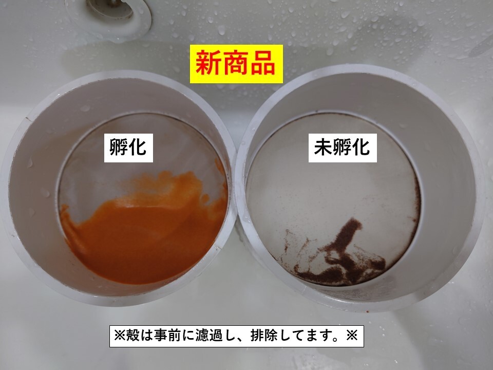 【グッピー太郎】中国産 ブラインシュリンプエッグス 425g×2袋の画像3