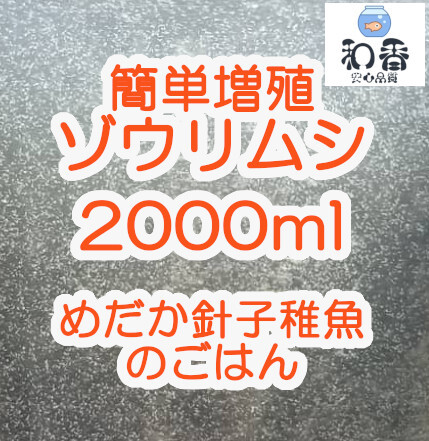 即給餌OK★ゾウリムシ 種水2000ml★沢山湧いてます★ めだかグッピーベタ金魚の稚魚 ビーシュリンプ 生餌に最適 ミジンコクロレラの画像1