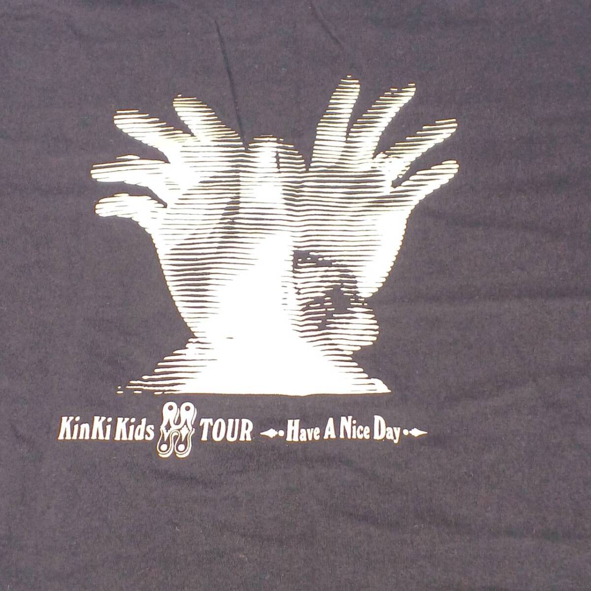 サイズ不明 Kinki Kids キンキキッズ ツアーTシャツ 2005 Have A Nice Day ブラック 半袖 リユース ultramto ts3024_画像3