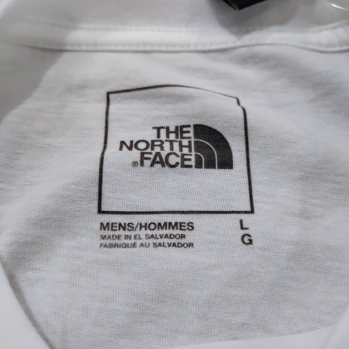 新品★未使用　USAモデル 日本未発売 ノースフェイス ロンT L ホログラム THE NORTH FACE 白　ホワイト