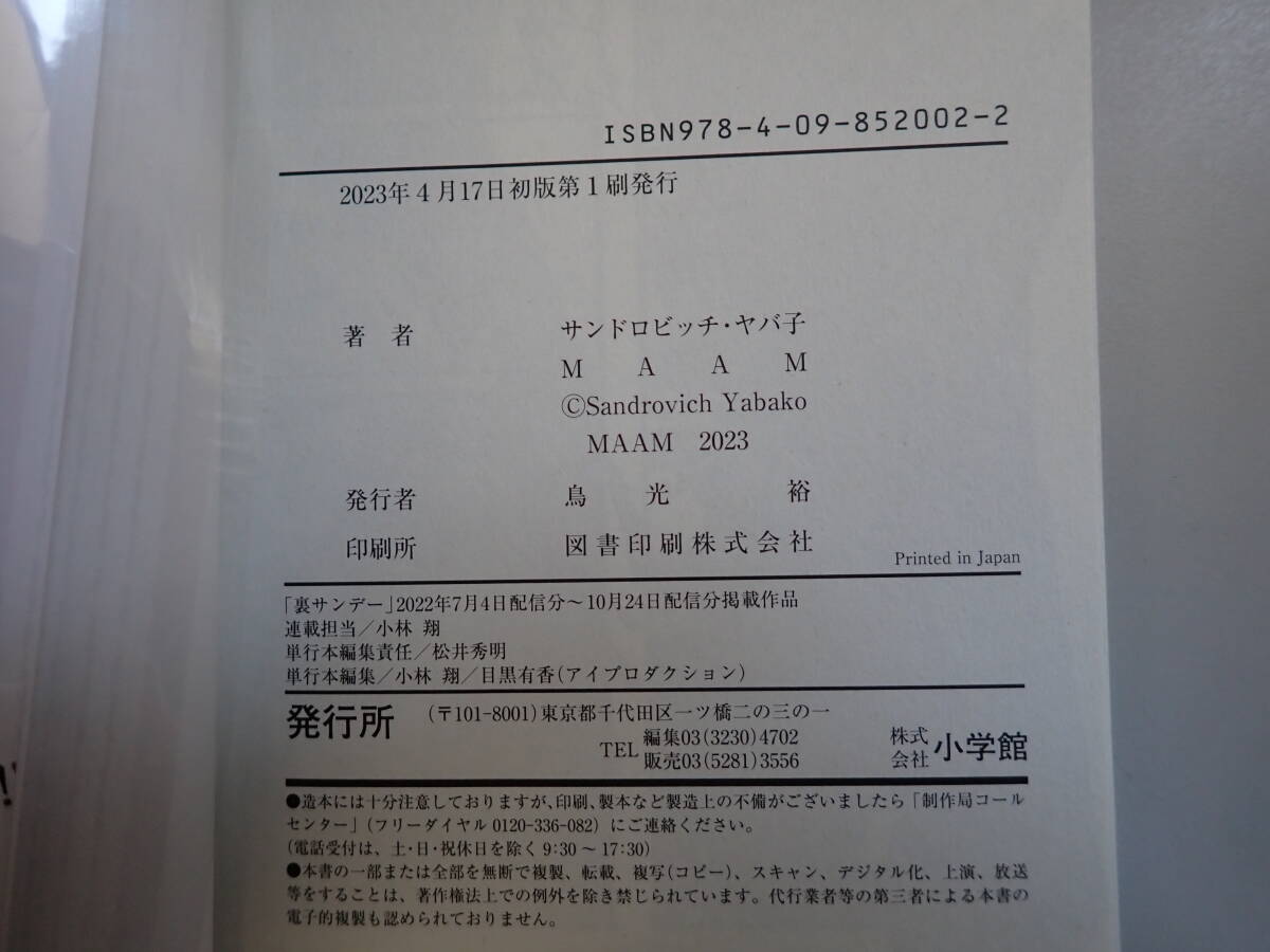 K21Bφ　ダンベル何キロ持てる？　1～18巻(13巻抜け)　非全巻セット　サンドロビッチ・ヤバ子/原作　MAAM/作画　小学館_画像5