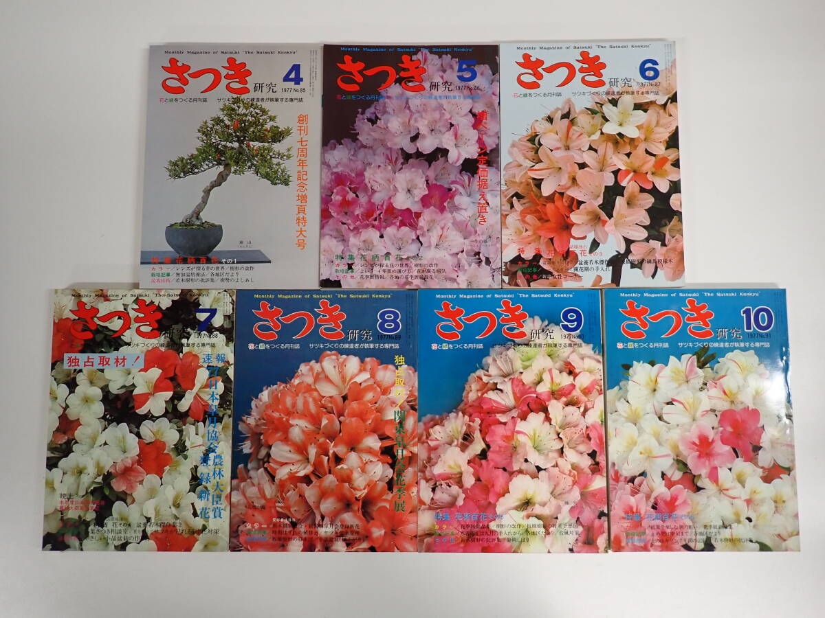 K21Eφ さつき研究 1974年～1977年 まとめて37冊セット 花と緑をつくる月刊誌 月刊さつき研究社の画像7