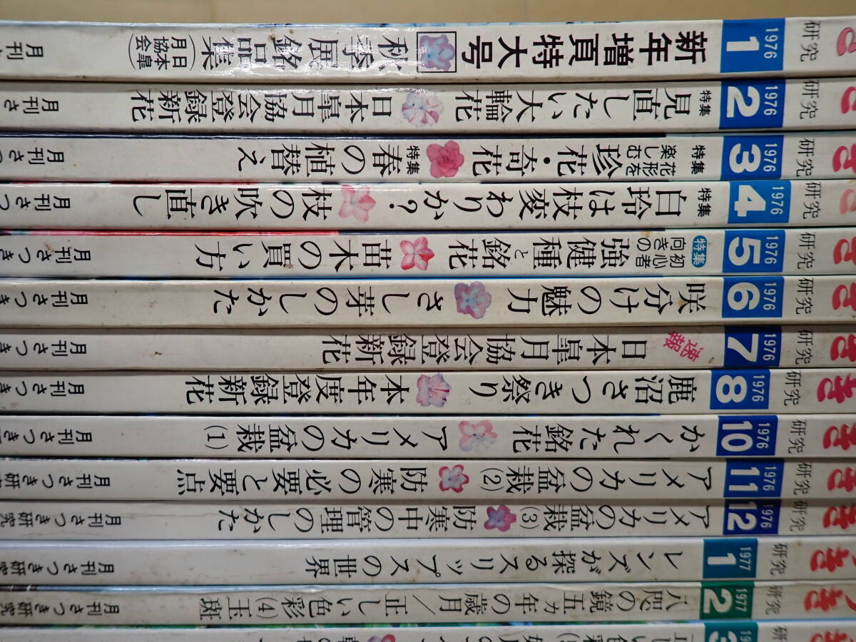 K21Eφ さつき研究 1974年～1977年 まとめて37冊セット 花と緑をつくる月刊誌 月刊さつき研究社の画像3