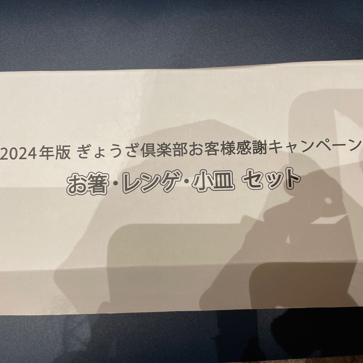 人気　有名　チェーン店　餃子の王将　2024年　お箸　レンゲ　小皿　セット　新品　未使用　非売品　オリジナル商品　お得