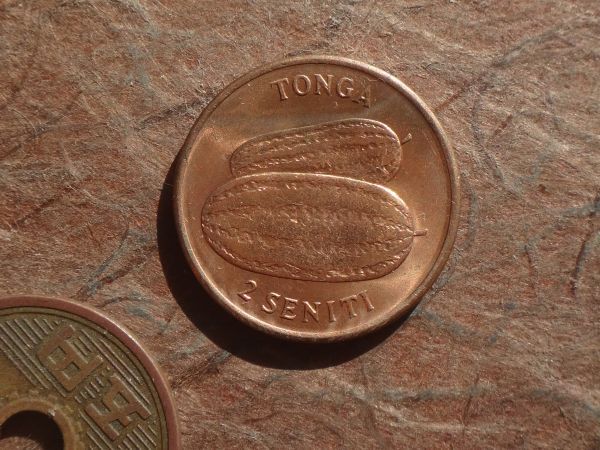 トンガ 2Senti 青銅 1975年 KM#43 (21.1mm, 4.0g)の画像1
