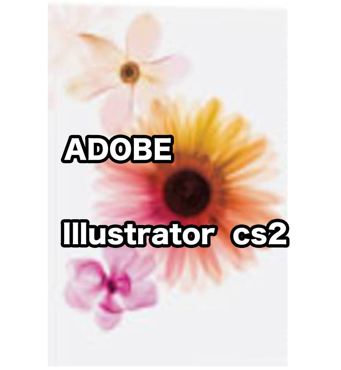 【正規版・商用OK】 Adobe CS2 Illustrator Win10/11起動確認 　簡単インストール・遠隔インストール可_画像1