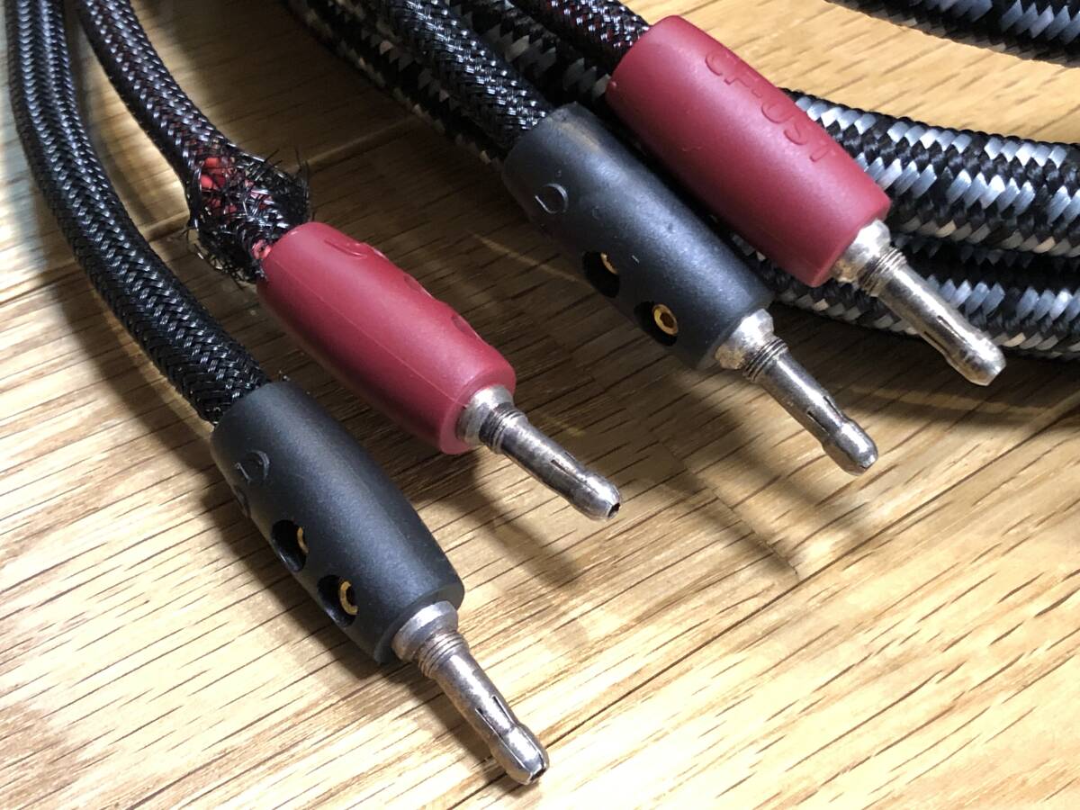 即決/送無 AudioQuest オーディオクエスト Type-8 独立/単線/8芯 即決/送無 AudioQuest オーディオクエスト Type-8 独立/単線/8芯