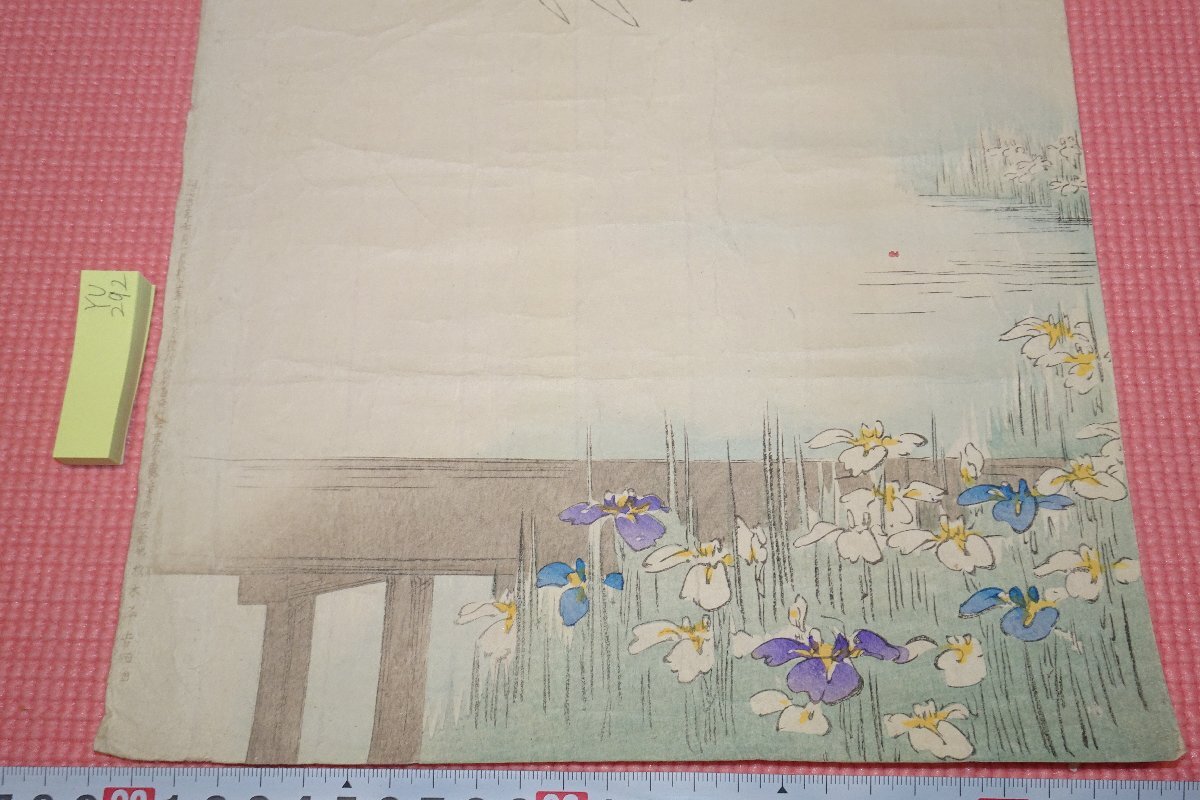 rarebookkyoto YU-292 Meiji period woodblock print **. flower .* Meiji 37 year paper book@. color 1904 year about work Kyoto old thing 
