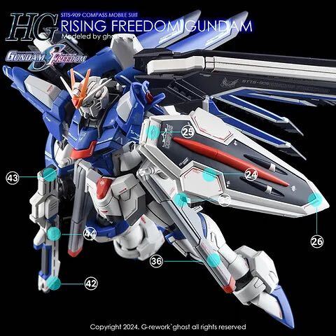 HG 1/144 ライジングフリーダムガンダム用水転写式デカール　並行輸入品_画像4