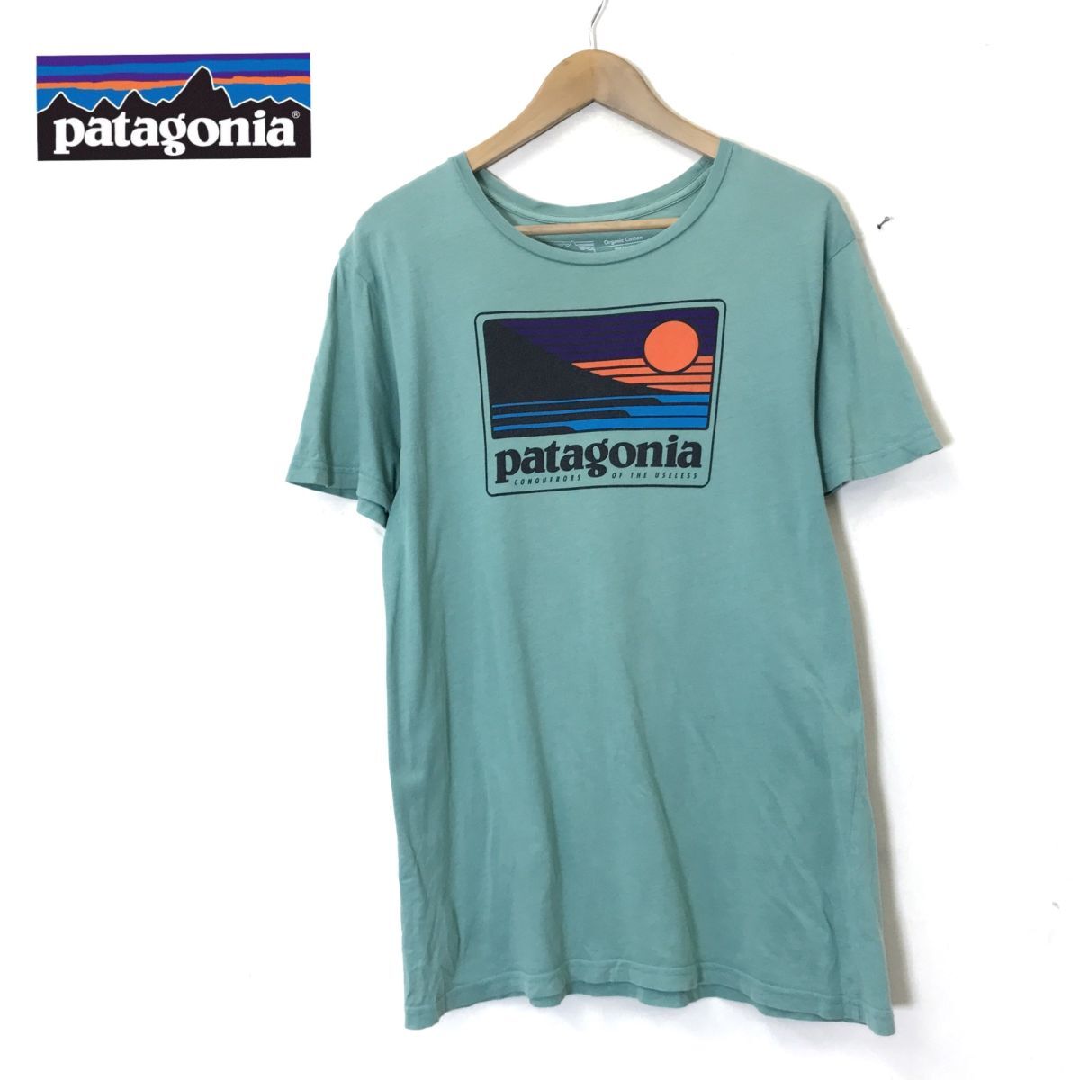 A2293-N◆USA製 patagonia パタゴニア 半袖Tシャツ カットソー プリント アウトドア ◆ sizeM グリーン系 オーガニックコットン100_画像1