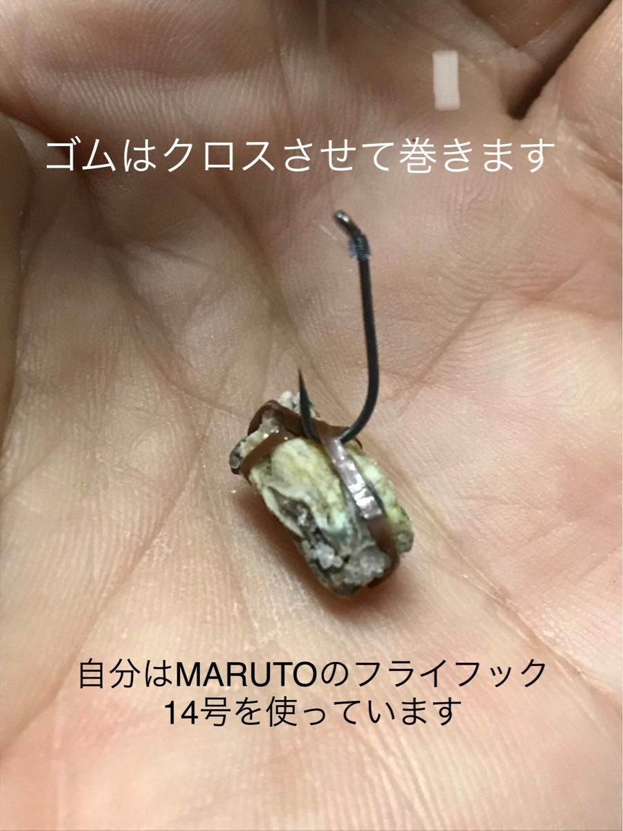 フジツボ塩漬　クロダイ釣り　ヘチ釣り　落とし込み