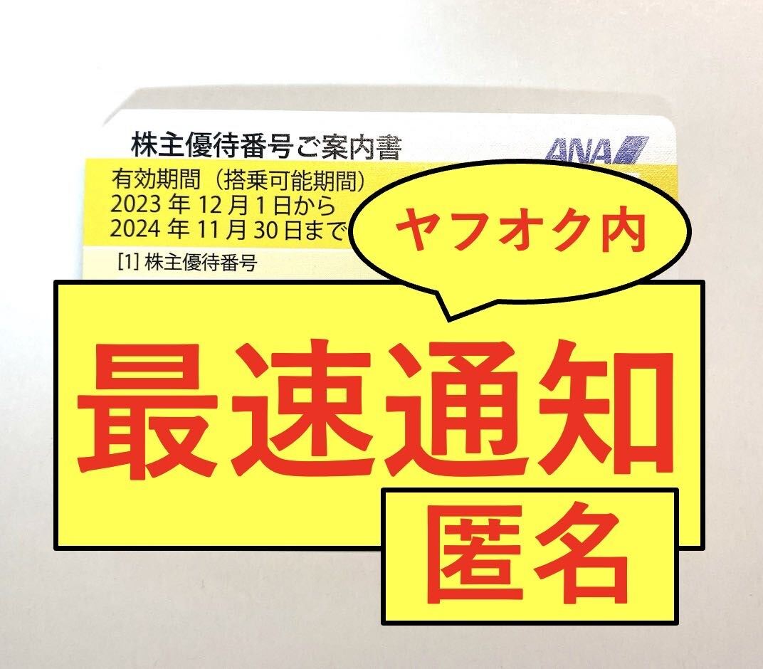 【クレカOK・最速1分・番号通知・コード通知】ANA 全日空 株主優待券 1枚（2024年11月30日搭乗分まで）/ 2枚 3枚 4枚 5枚 6枚 7枚 8枚 9枚 の画像1