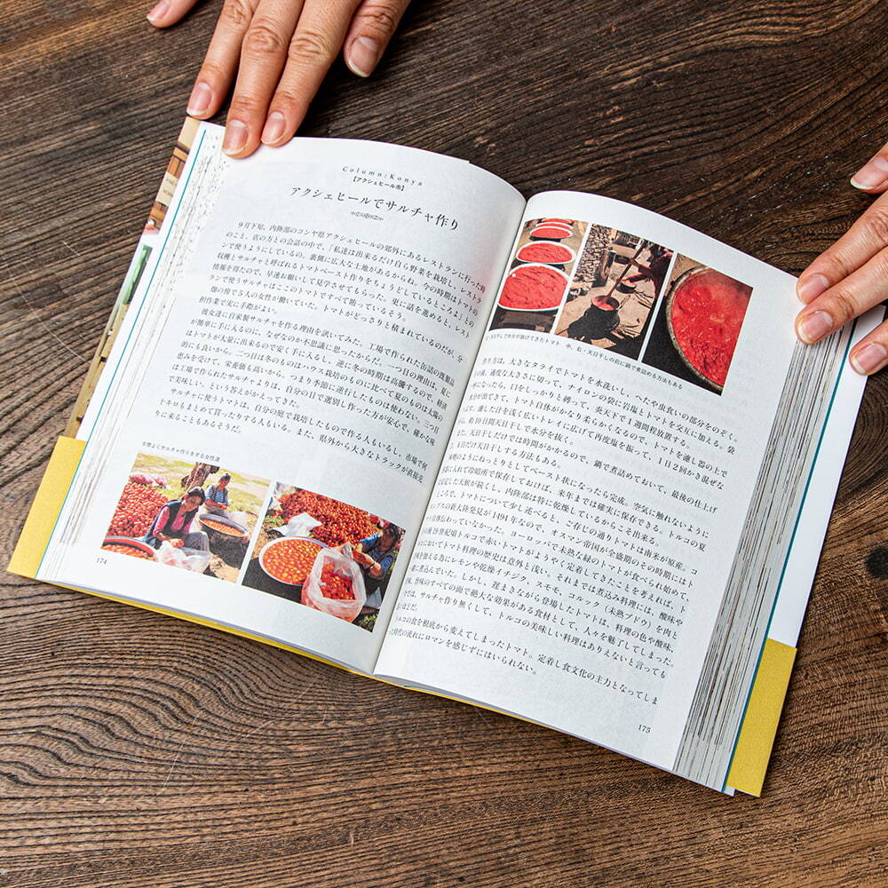 トルコ料理 バックパッカー 本 旅行人 食で巡るトルコ 旅行記 雑誌 インド ガイドブック 印刷物 ステッカー_画像3