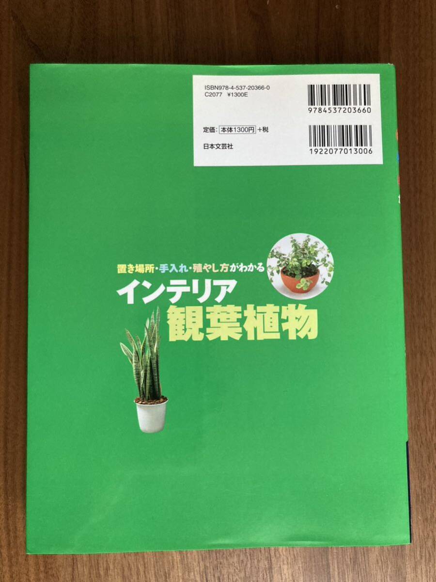 ◆インテリア観葉植物◆日本文芸社　置き場所　お手入れ　殖やし方がわかる　カラー223ページ_画像2