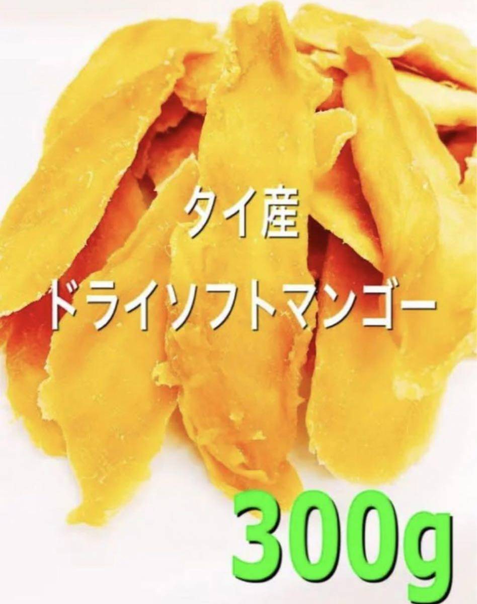 ソフトマンゴースライス 300g ドライフルーツ_画像1