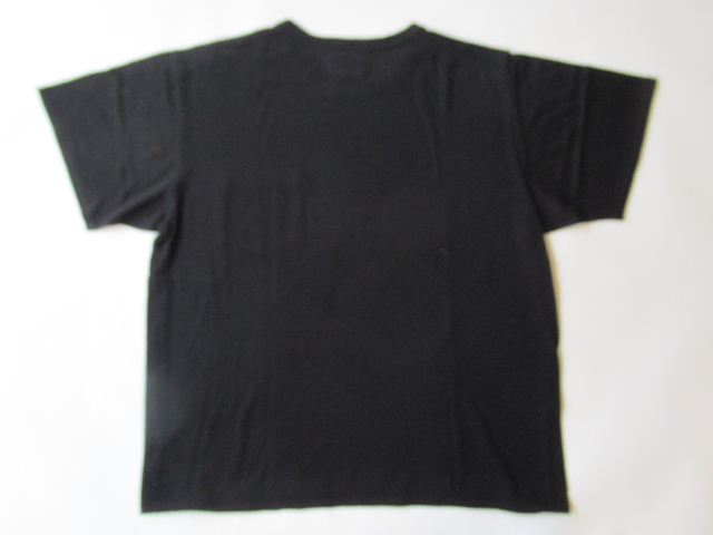 2024SS THE NORTH FACE PURPLE LABEL Merino Field Tee サイズL 2024SS THE NORTH FACE PURPLE LABEL Merino Field Tee サイズL
