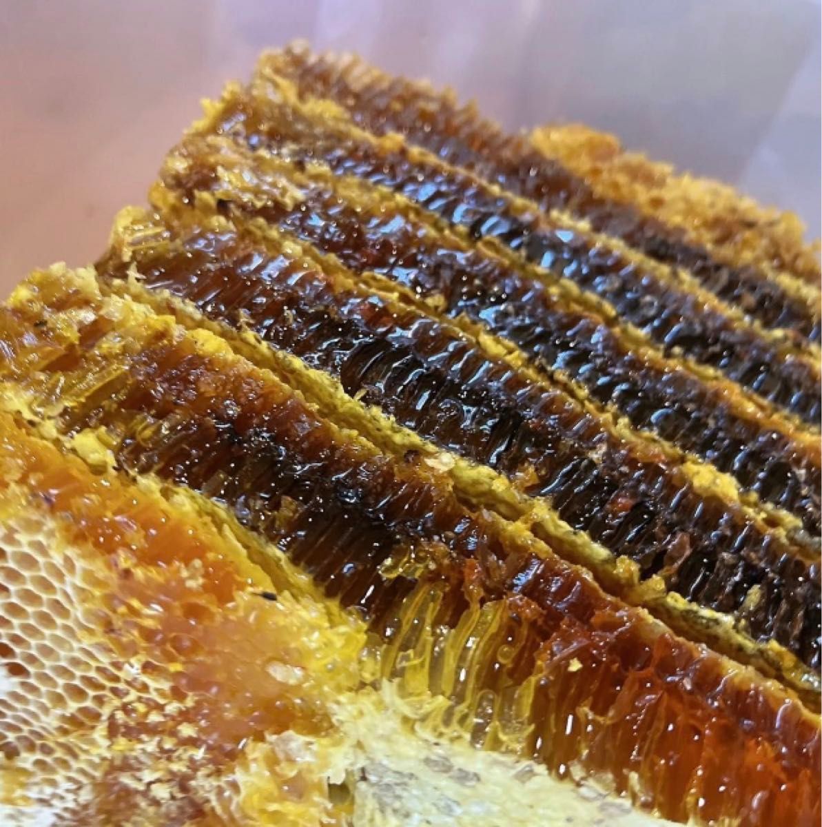 日本蜜蜂の巣の搾りかす　３００g   ２袋　誘引液や蜜蝋作りに