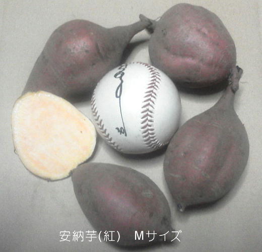 種子島産「安納芋紅」Mサイズ10キロ 送料込みの画像2