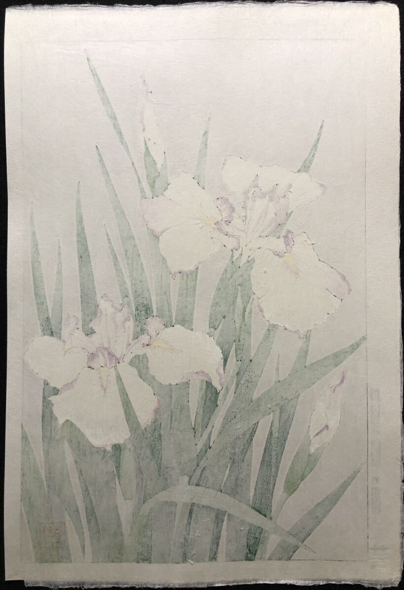 木版画 河原崎奨堂【菖蒲】芸艸堂版 大判 彫長島 摺吉田 真作 ■ 浮世絵 新版画 植物画 Ukiyoe_画像2