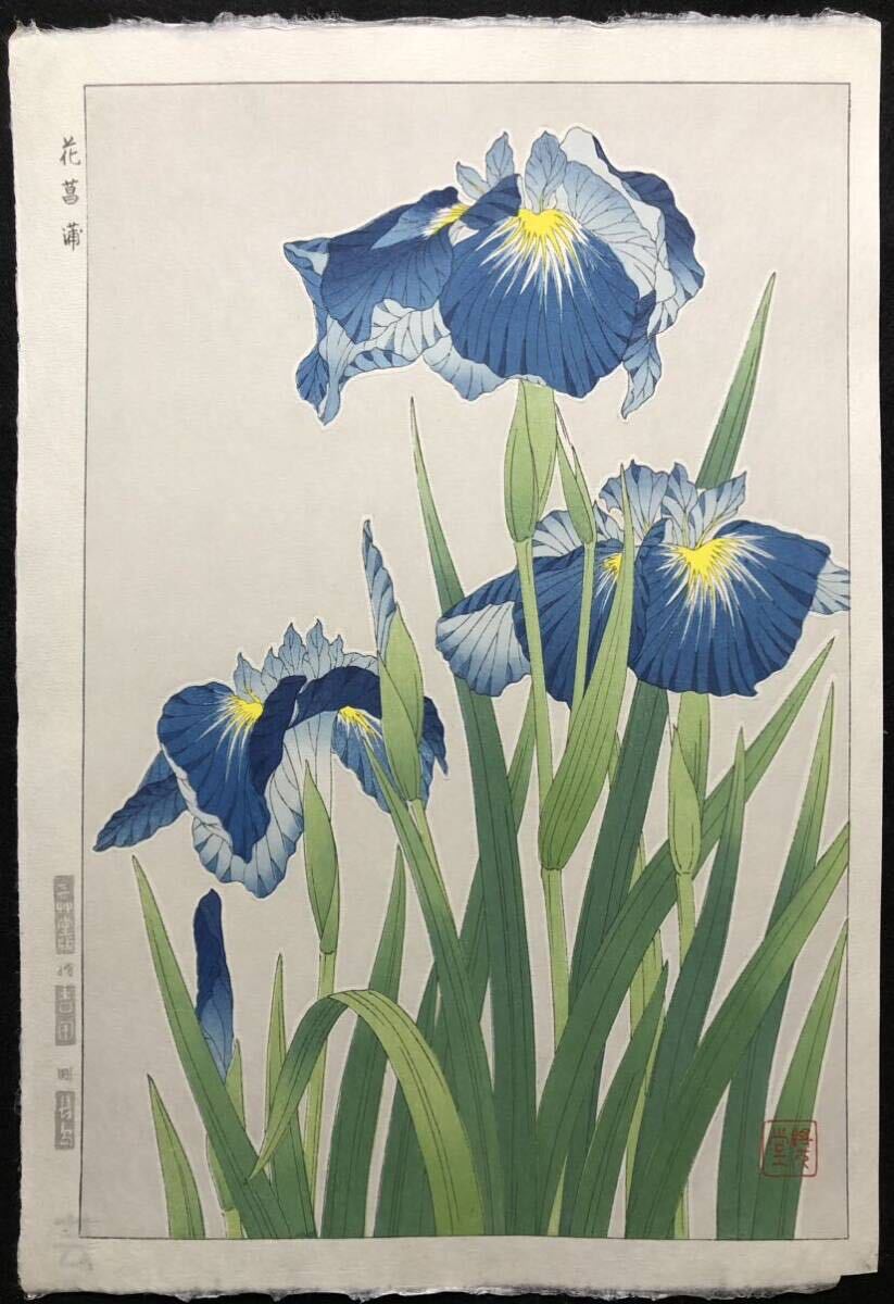 木版画 河原崎奨堂【花菖蒲】芸艸堂版 大判 彫長島 摺吉田 真作 ■ 浮世絵 新版画 植物画 Ukiyoe_画像1