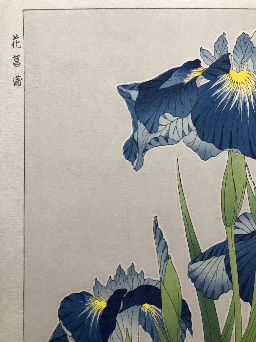 木版画 河原崎奨堂【花菖蒲】芸艸堂版 大判 彫長島 摺吉田 真作 ■ 浮世絵 新版画 植物画 Ukiyoe_画像3