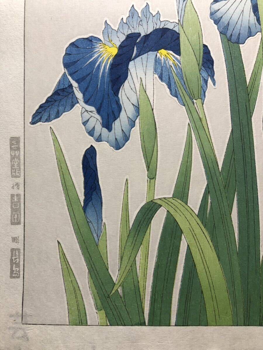 木版画 河原崎奨堂【花菖蒲】芸艸堂版 大判 彫長島 摺吉田 真作 ■ 浮世絵 新版画 植物画 Ukiyoe_画像7