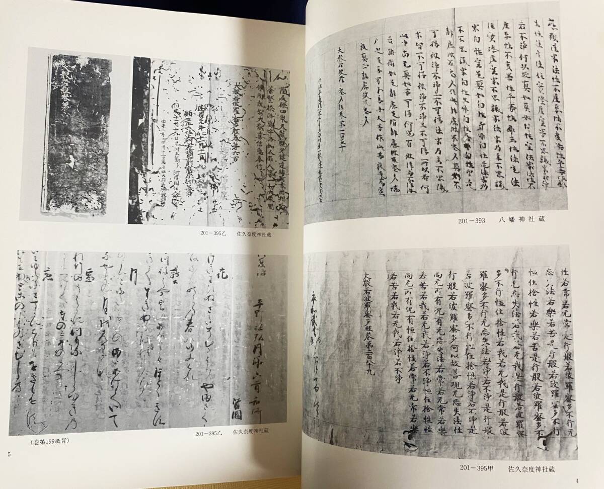 ■滋賀県大般若波羅蜜多経調査報告書 全2冊揃　滋賀県教育委員会事務局文化部文化財保護課編　付図付属　●仏典 大般若経 古写経 古文書_画像6