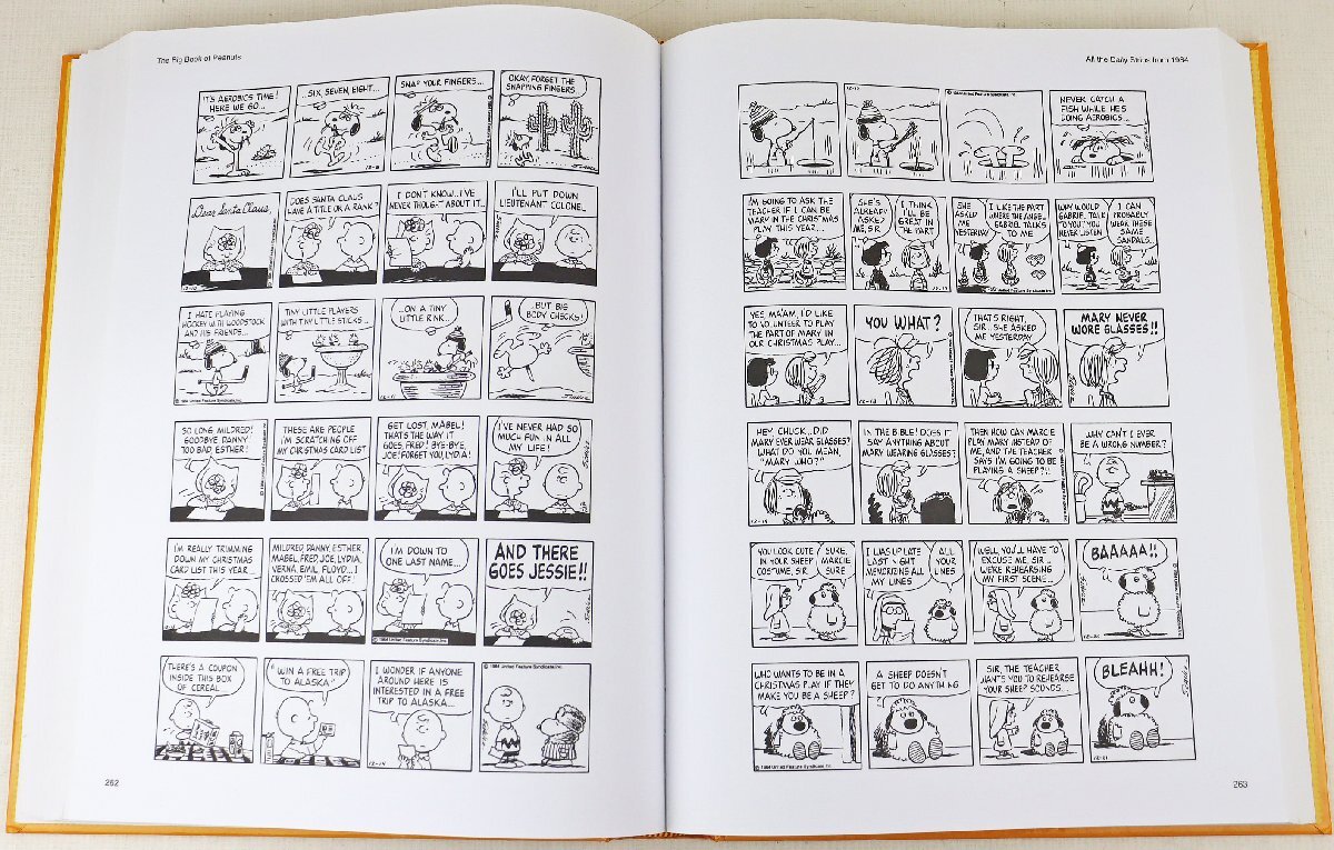 S◎中古品◎マンガ『The Big Book of Peanuts All the Daily Strips From the 1980's』 著:チャールズ・M・シュルツ 洋書 ピーナッツの画像7