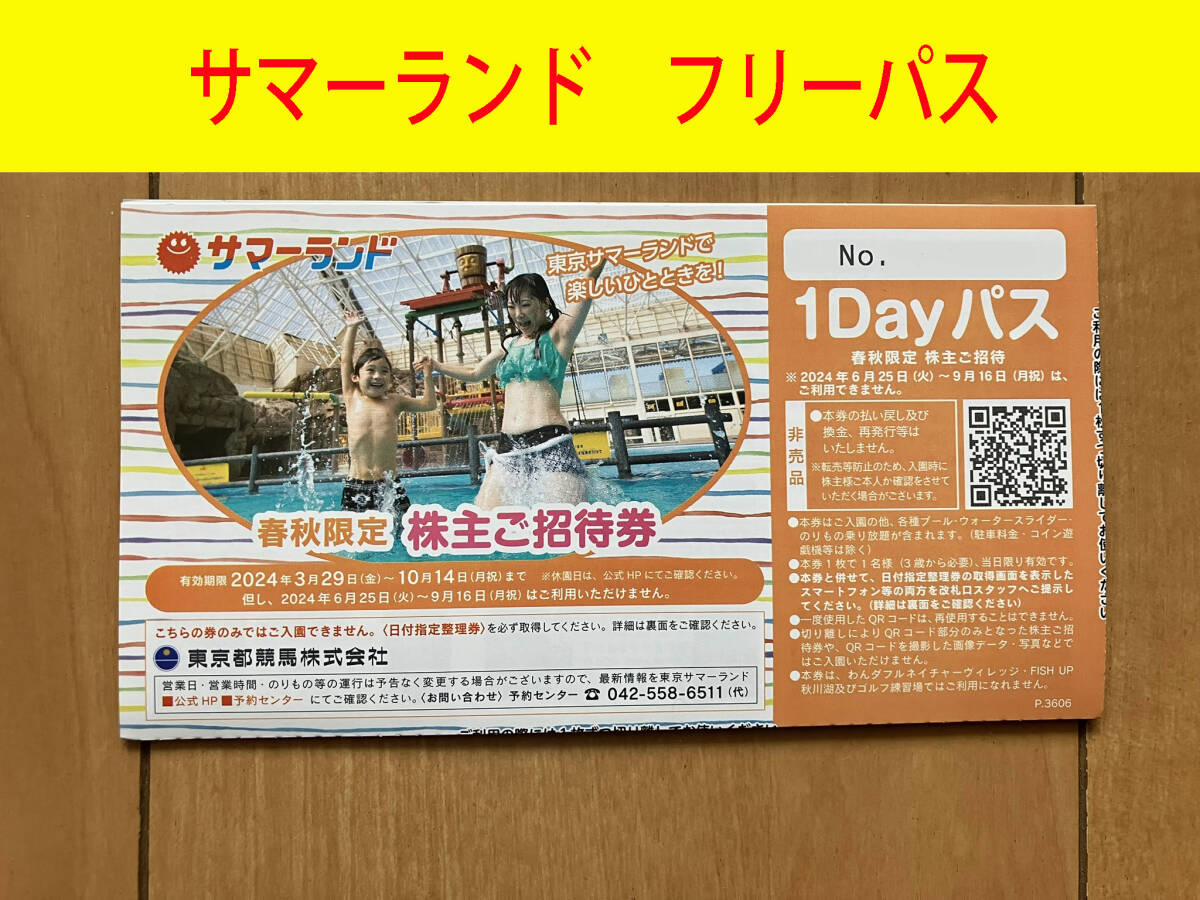 東京サマーランド 1Dayパス 株主優待 春秋限定ご招待券 1～9枚 入園・プール・乗り物乗り放題 フリーパス 8月利用不可 の画像1