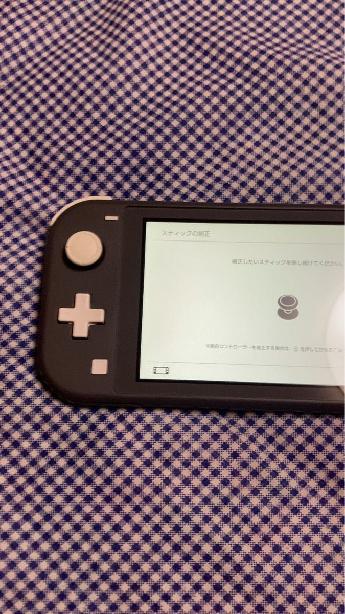 【動作正常品】Nintendo Switch Lite グレー　任天堂　スイッチ　ライト