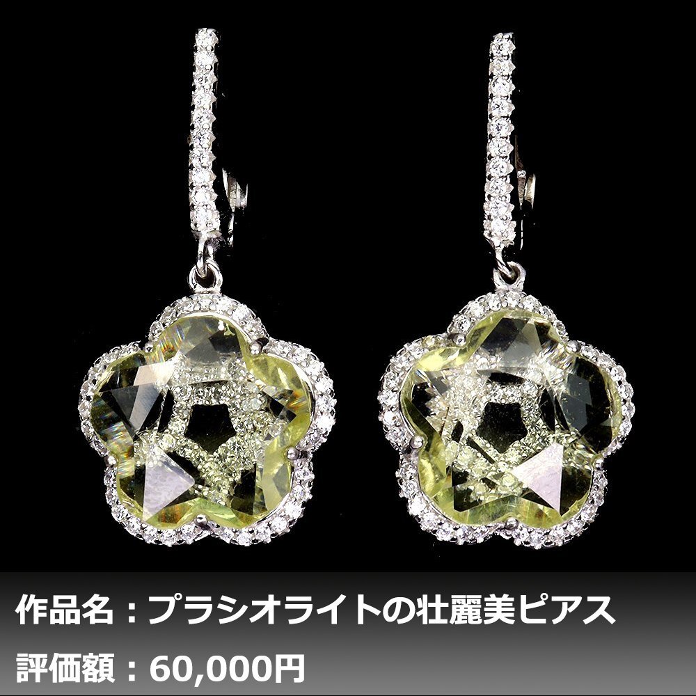 【1円新品】イケゾエガレ｜14.00ct 天然アメジスト（プラシオライト） ダイヤモンド K14WG仕上ピアス｜本物保証｜作家モノ｜NGL鑑別対応の画像1