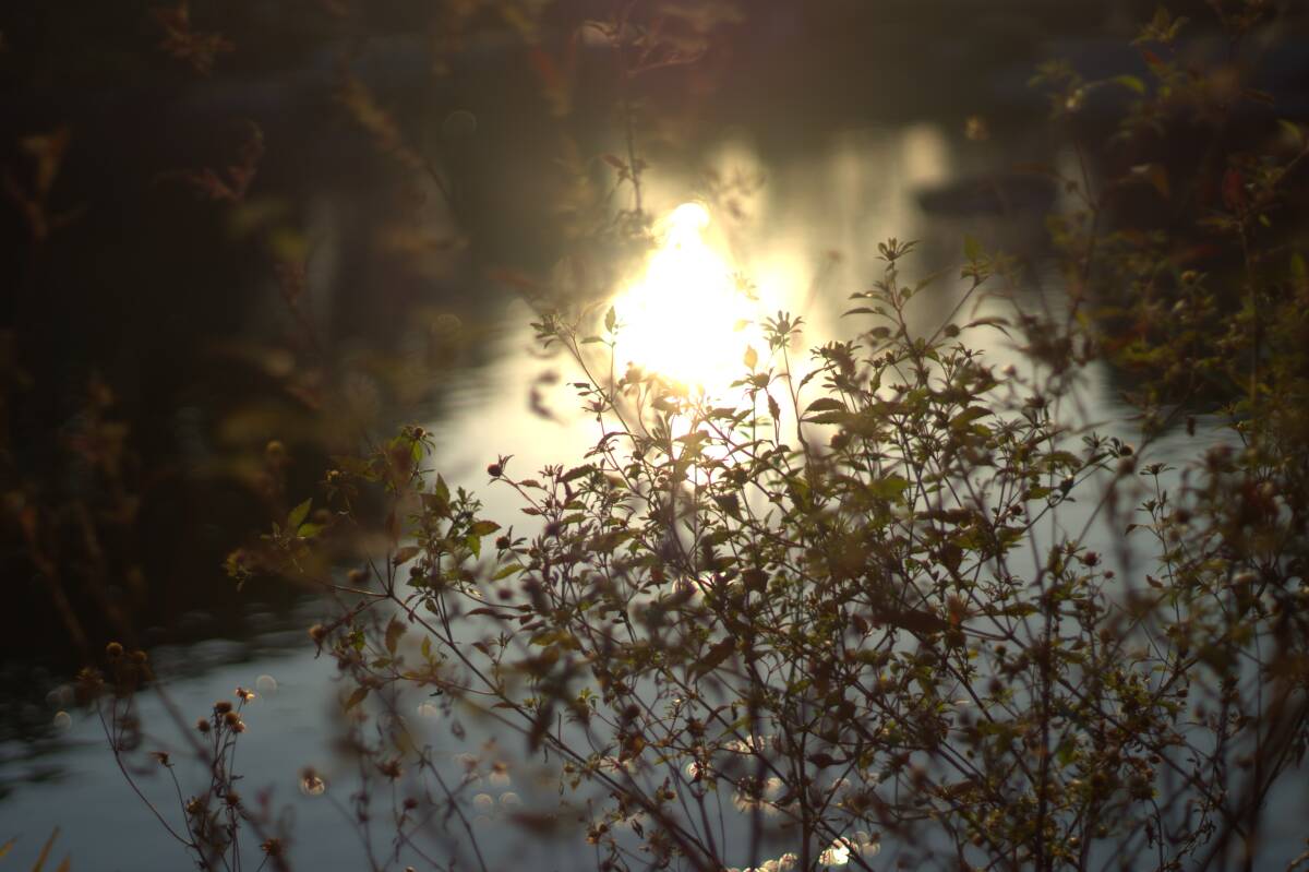 CANON LENS New FD 50mm F1.4 THE OFFICIAL 35MM CAMERA OF THE 1980 OLYMPIC WINTER GAMES_画像10