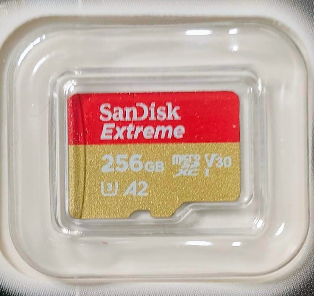 SanDisk microSDXC 256GB UHS-I U3 V30 R:190MB/s SDSQXAV-256G-GN6MN