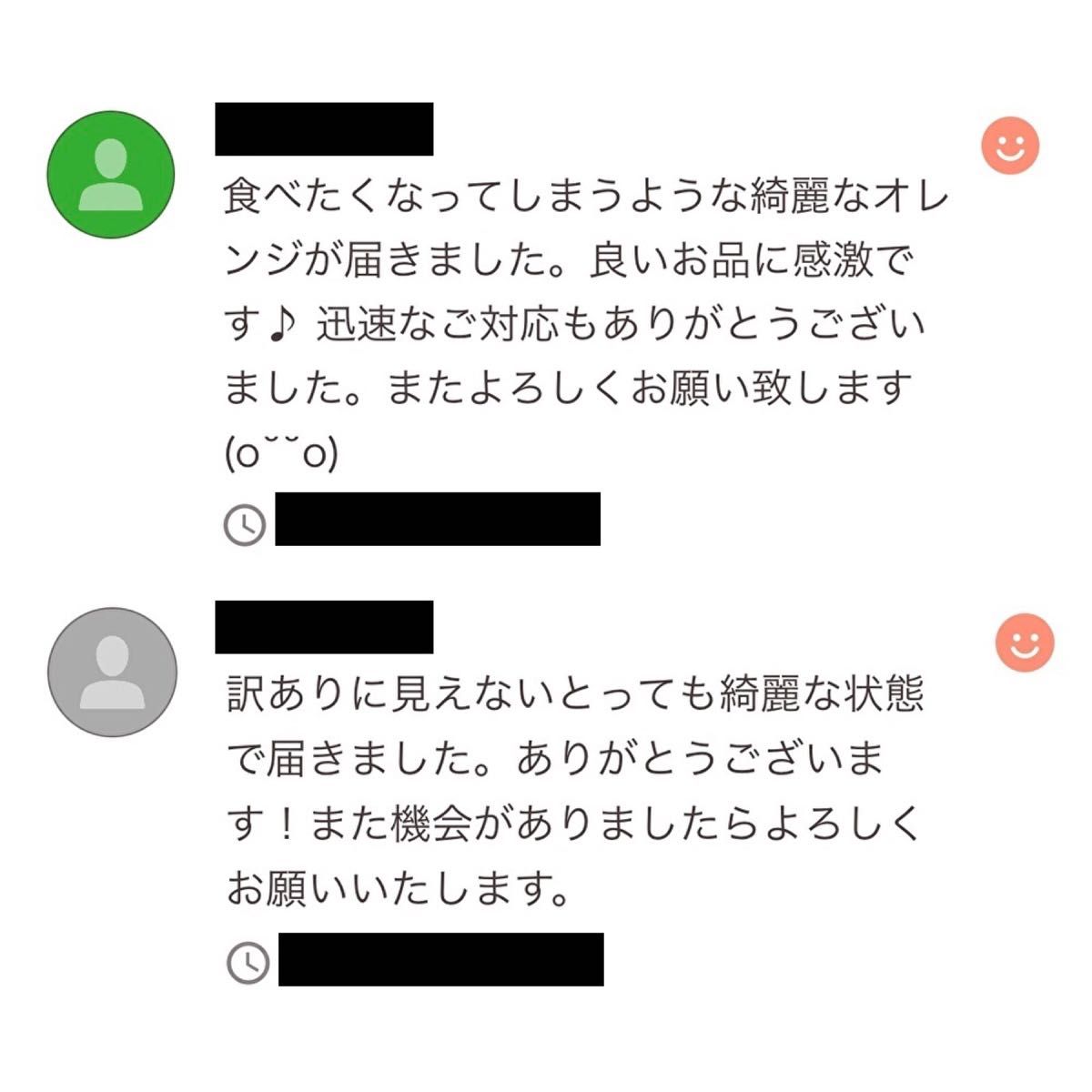 やや訳あり　ドライオレンジ　３０枚　ドライフルーツ　花材　素材